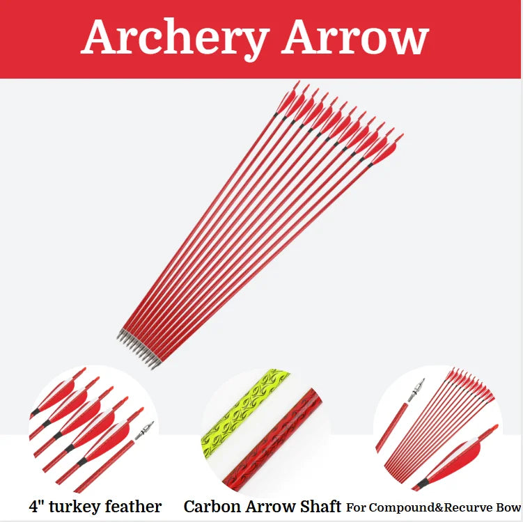 12X 30" Carbon Arrow Archery SP500 Screw Tips Compoundbow Recurve Bow Hunting US
